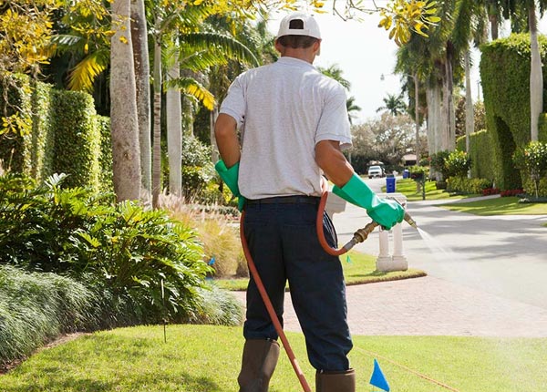 About Mount Pleasant PA Pest Control
